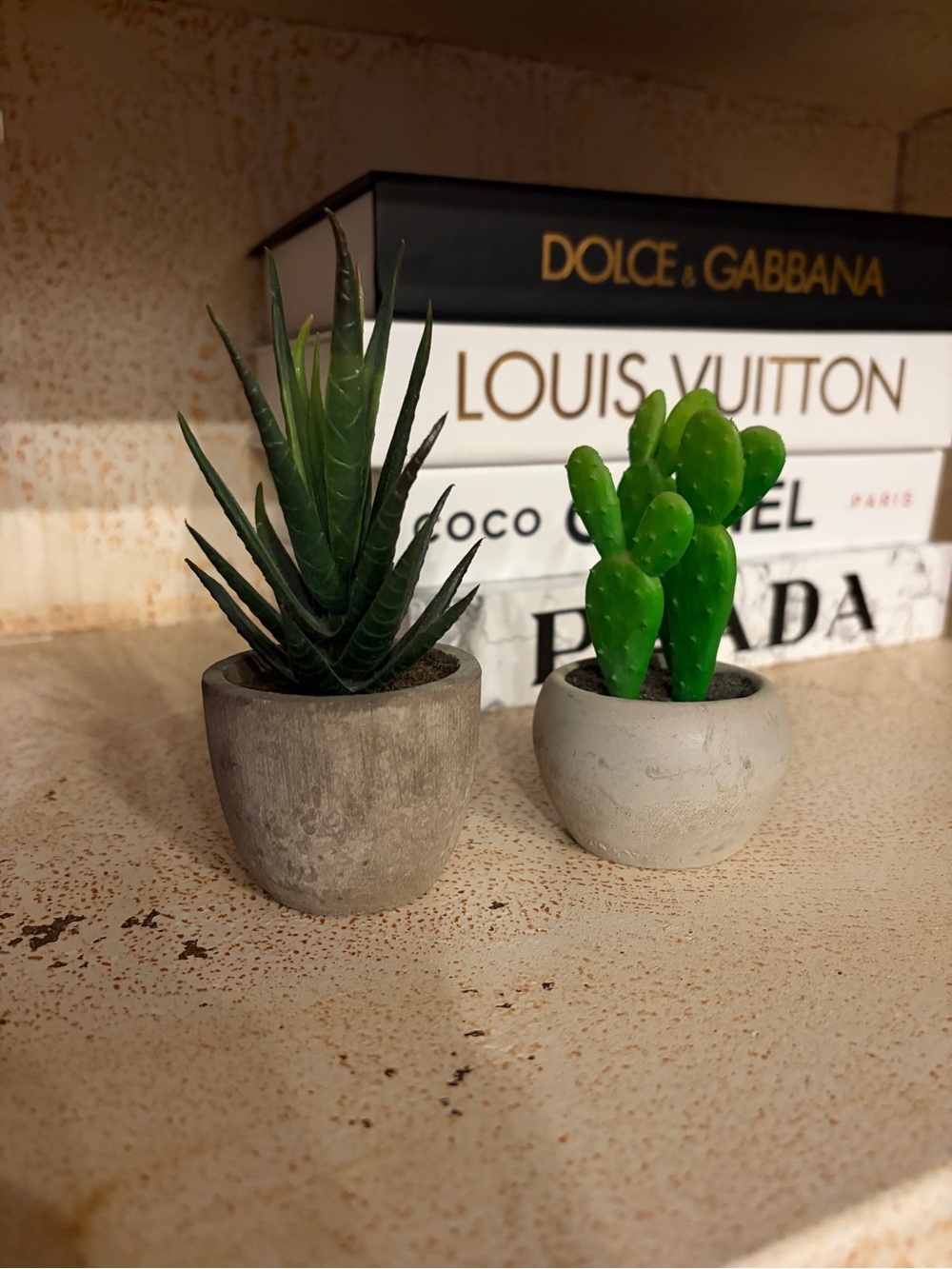 Decorative Faux Succulent plants set of 2
